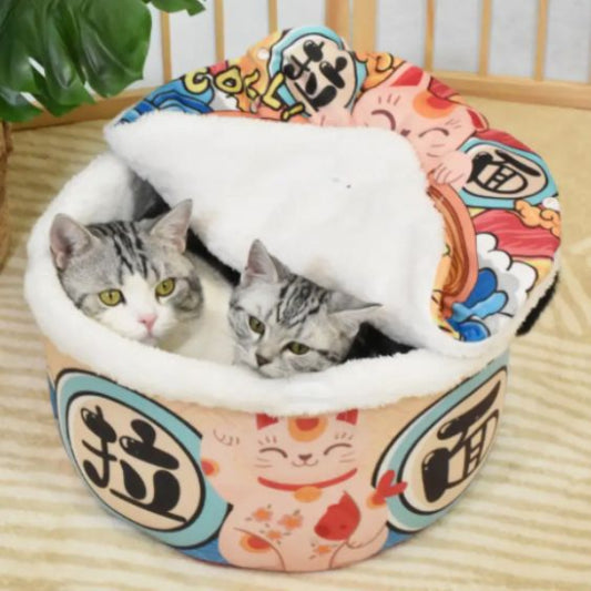 maison pour chat ludique misopurr