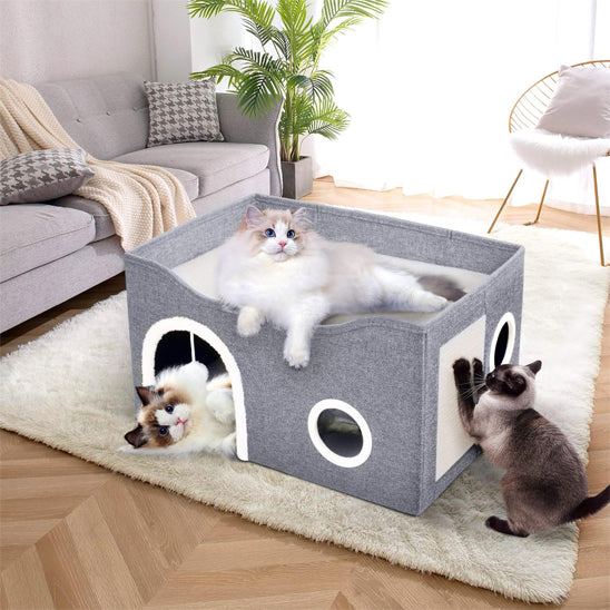 maison pour chat trois chats qui jouent salon clawcastle