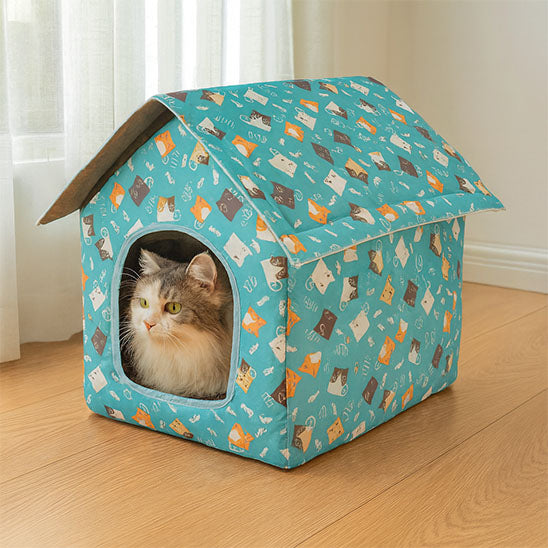 maisons pour chats skypaws dreampaw