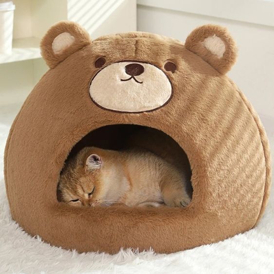 niche a chat chat qui dort paisiblement bearnest