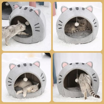 niche a chat positions whiskerden