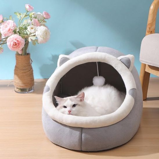 niche-chat-parfaite