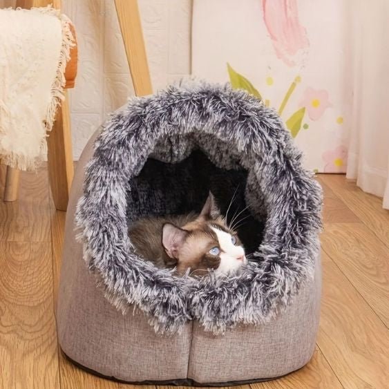 Niche chat - PurrShelter™ - Vie de chats