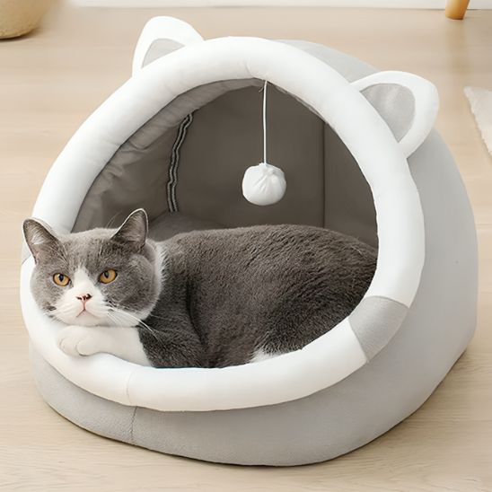 niche-chat-tranquillite
