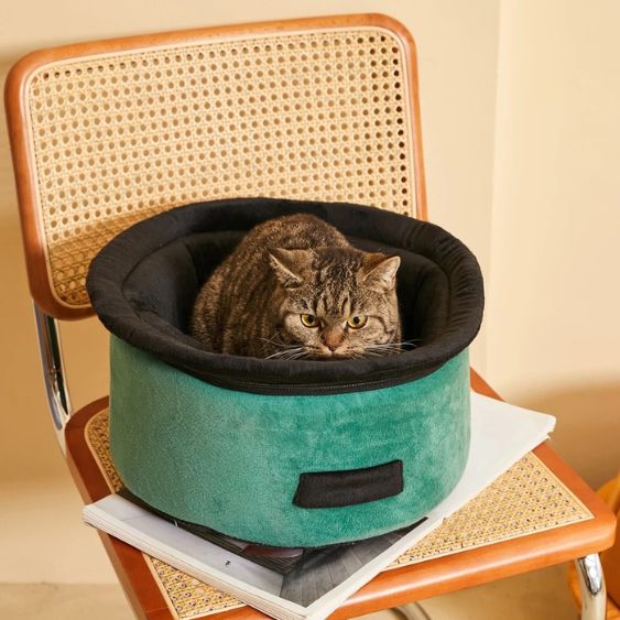 niche pour chat chaise cozytop