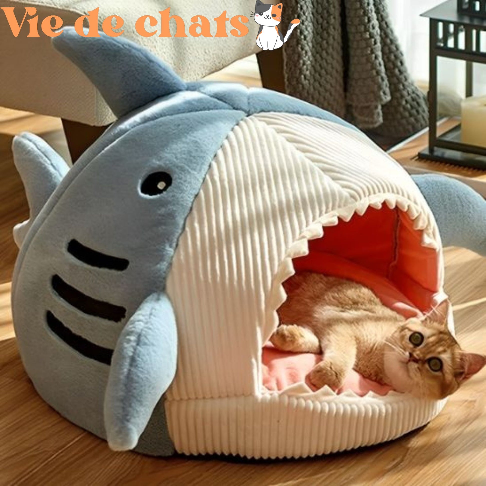 niche pour chat xxl grand format fluffyshark
