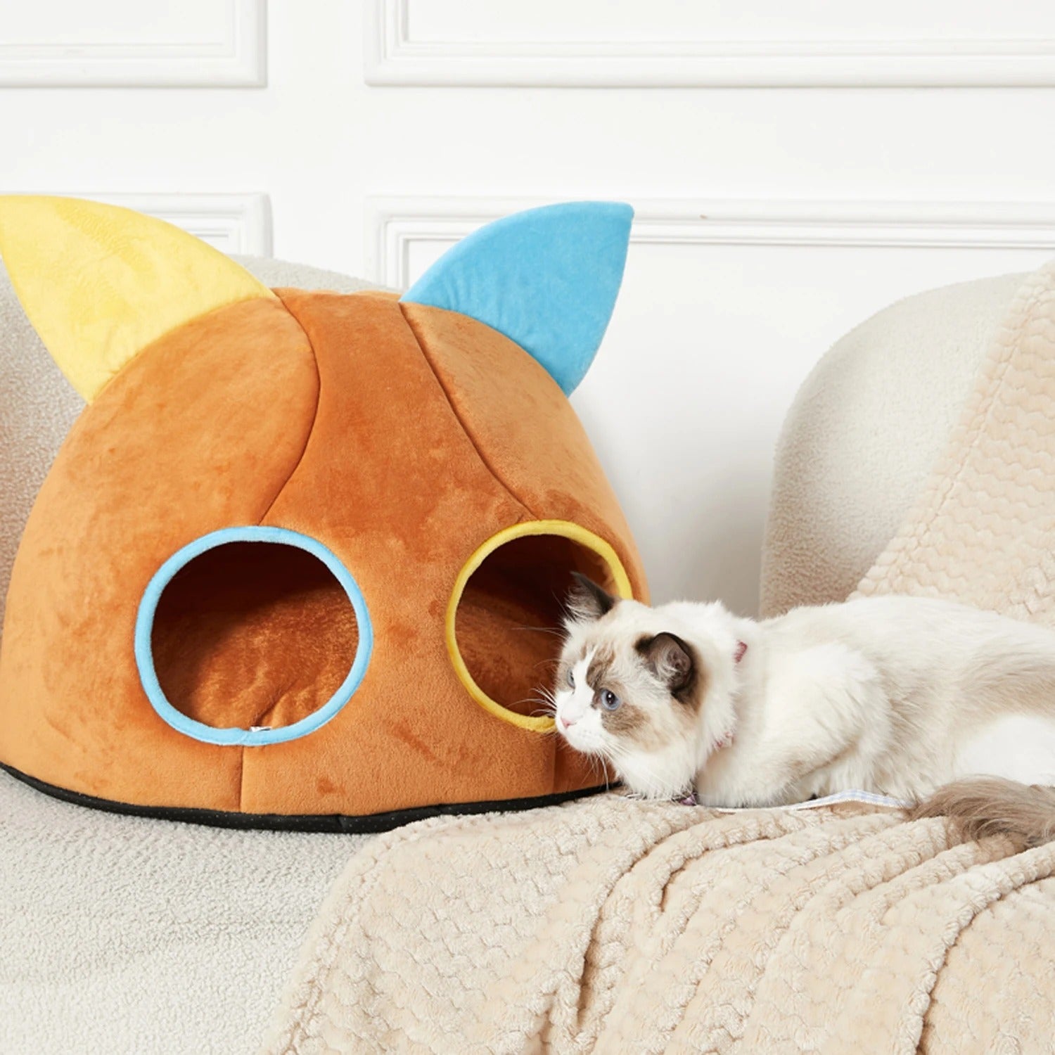 niche chat caramel calin kittynook