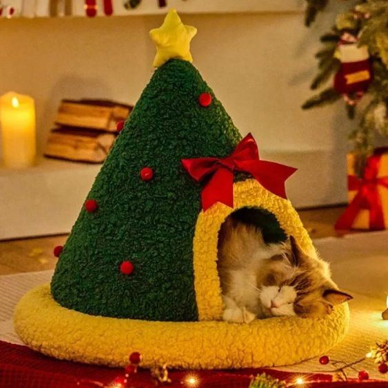 niche chat sommeil profond hollypaws