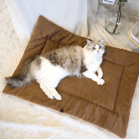 panier-chat-carrousel-3-flexicat