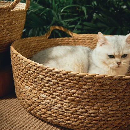 panier chat osier confortable catcocoon