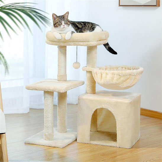 PETIT ARBRE A CHAT - TINYCLIMB™ - Vie de chats