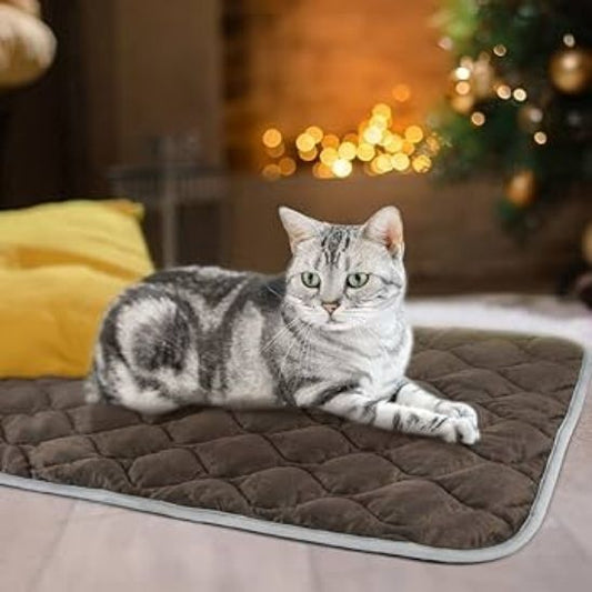 tapis chat paisible kittycush
