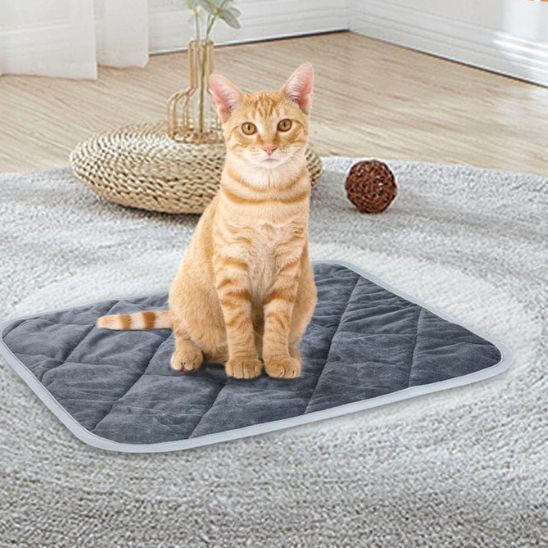 tapis chat salon kittycush
