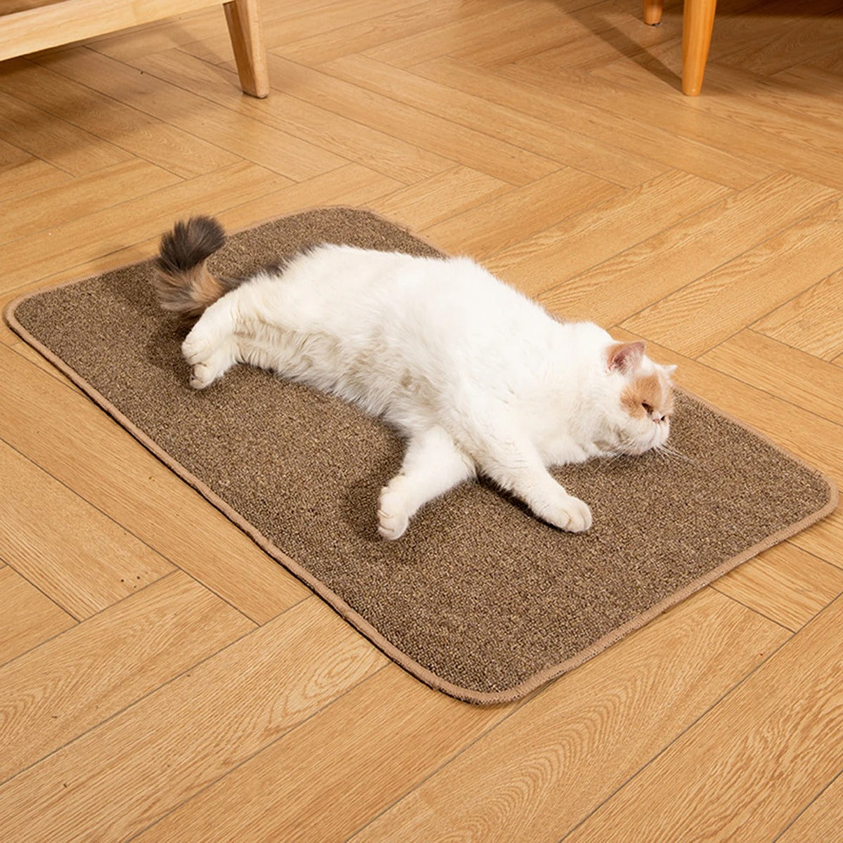 tapis griffoir chat brun zenclaws