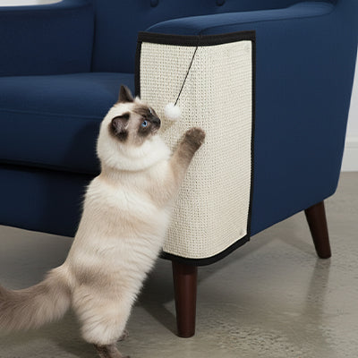 tapis griffoir chat protection kittygrip