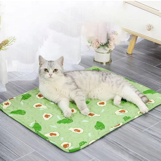 tapis rafraichissant chat avolove coolpaws