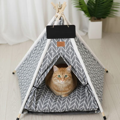 tipi chat gris ligne carrousel pawpalace