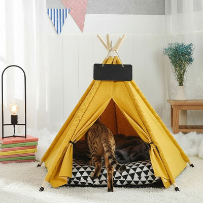 tipi chat jaune carrousel pawpalace