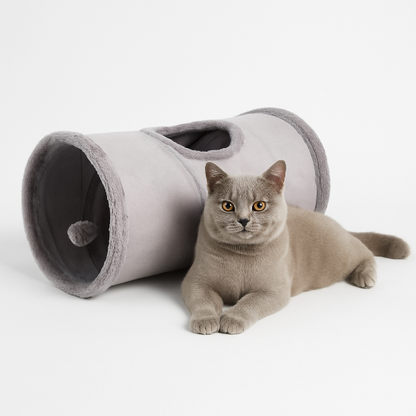 tunnel chat ludique purrpath
